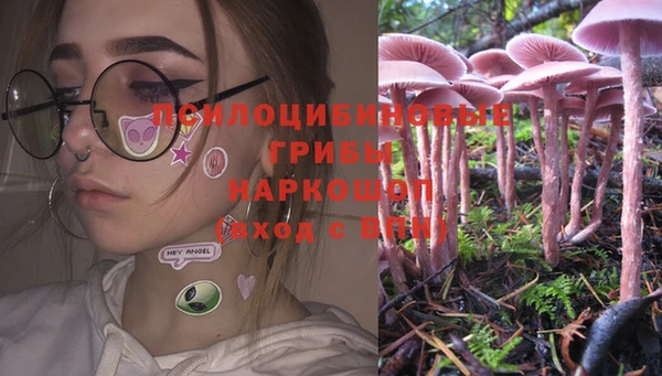 экстази Медвежьегорск