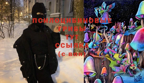 прущая мука Магас