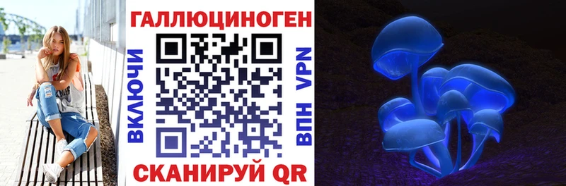 купить  цена  Северск  блэк спрут вход  Галлюциногенные грибы Psilocybine cubensis 
