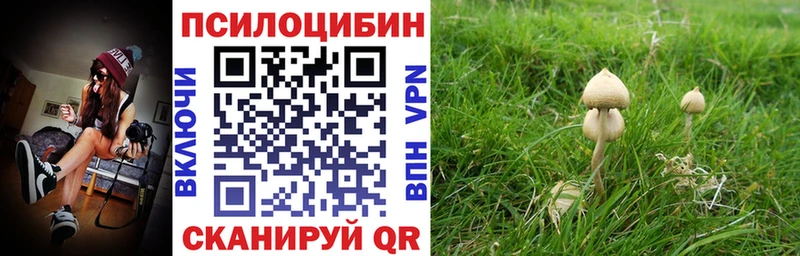 Галлюциногенные грибы прущие грибы Северск