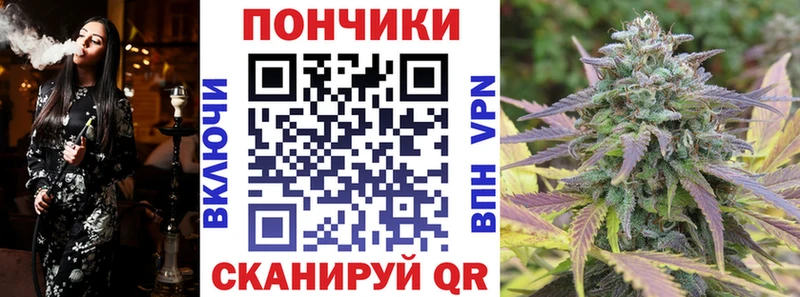 где продают   Северск  Шишки марихуана семена 